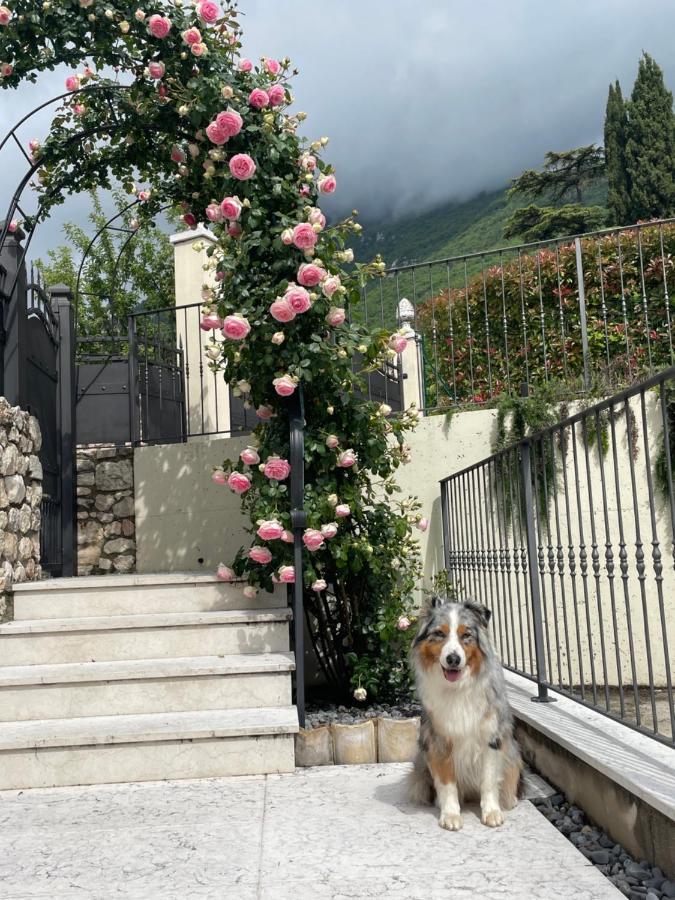 Corte Caiar Bed&Breakfast Caprino Veronese Exteriör bild